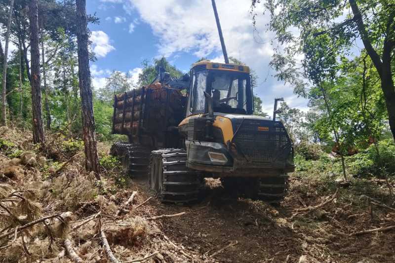 OmecoHub - Immagine PONNSE BUFFALO